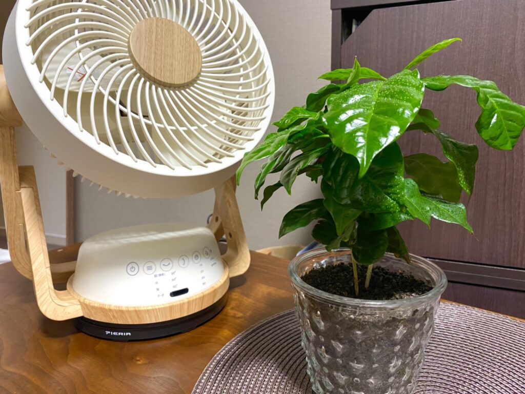 植物とサーキュレーター